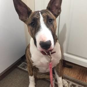 Meet your Posher, Alison